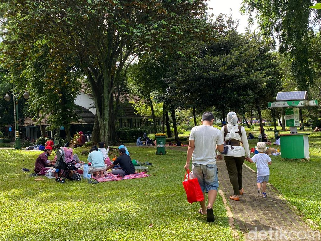Suasana di Taman Margasatwa Ragunan, 15 Januari 2021. (Annisa Rizky Fadhila/detikcom)