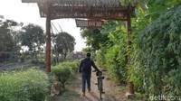 Destinasi Dam Pleret mulai dikembangkan sejak 2019. Destinasi yang dikelola para pemuda ini telah terbukti mampu bertahan selama masa PPKM dan saat ini telah kembali dibuka. (Muhajir Arifin/detikTravel)