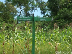Unik, Dukuh Susah Air dan Sinyal di Gunungkidul Ini Bernama Janganmati