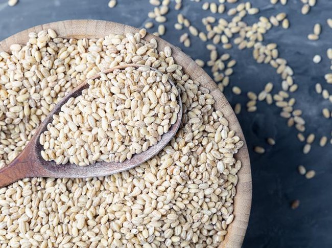 Fakta tentang barley