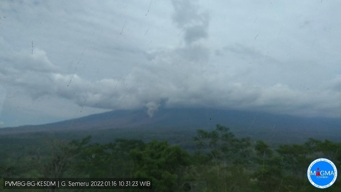 Gunung Semeru erupsi pada pukul 10.20 WIB. Tinggi kolom abu teramati sekitar 1.500 meter di atas puncak.