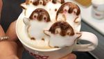 Gemas! Kopi dengan Latte Art Pokemon hingga Penguin