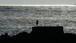 Pesona Kepulauan Galapagos, Rumah Beragam Satwa Unik
