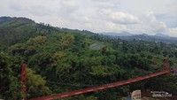 Lanskap hijau dari Sudut Pandang Cafe