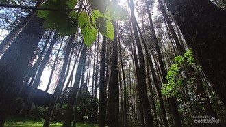 Tak Ada Bandung Zoo, Tahura Djuanda Pun Jadi