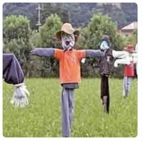 Spirit doll sahabat bagi para petani. Kalau spirit doll ini bentuknya bisa beragam dan terkadang cukup menyeramkan, seperti dalam foto yang satu ini. Foto: Twitter