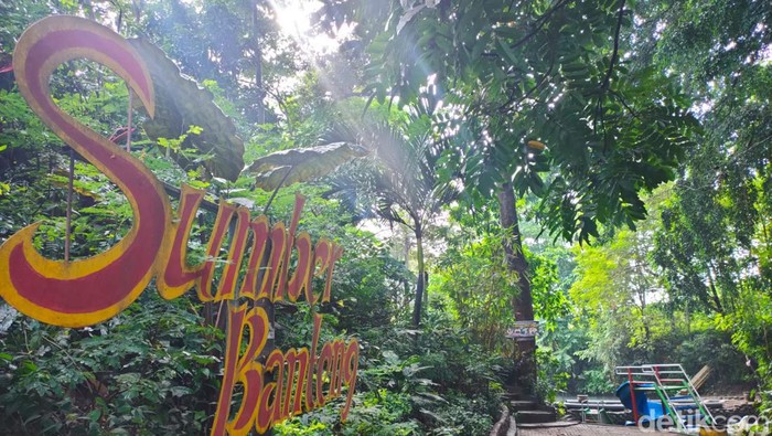 sumber banteng