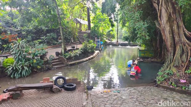 sumber banteng