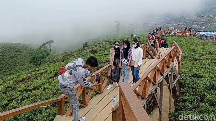 Taman Langit Pangalengan