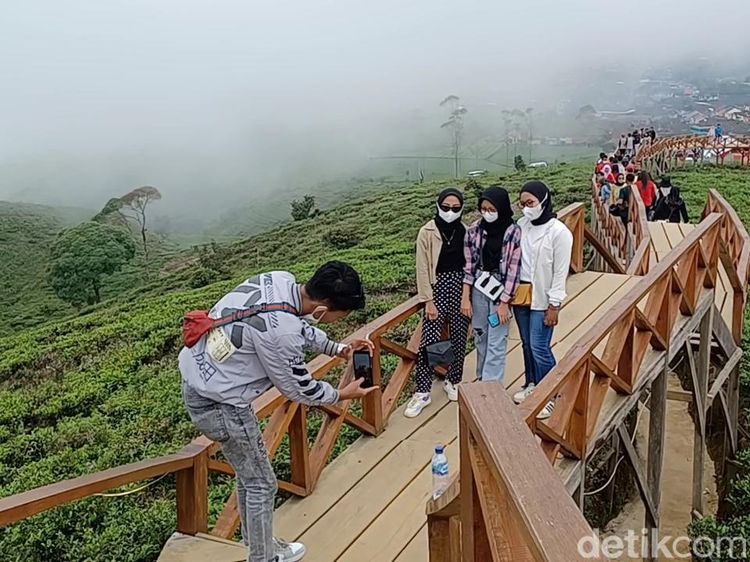 Potret Taman Langit Pangalengan, Sejuk dan Instagramable