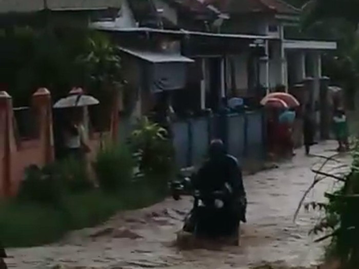 banjir di probolinggo dan pohon tumbang
