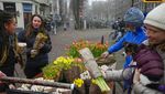 Berbagi Bunga Tulip Gratis Usai Lockdown di Belanda