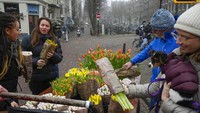 Petani bunga tulip membagikan bunganya kepada warga saat toko-toko di seluruh Belanda kembali dibuka usai lockdown akibat virus corona.
