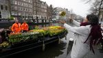 Berbagi Bunga Tulip Gratis Usai Lockdown di Belanda