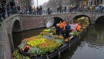 Berbagi Bunga Tulip Gratis Usai Lockdown di Belanda