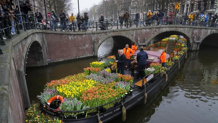 Berbagi Bunga Tulip Gratis Usai Lockdown di Belanda On the day stores in Amsterdam and across the Netherlands cautiously re-opened after weeks of coronavirus lockdown, the Dutch capital's mood was further lightened by dashes of color in the form of thousands of free bunches of tulips handed out by growers from a boat in the canals of Amsterdam, Netherlands, Saturday, Jan. 15, 2022. (AP Photo/Peter Dejong)