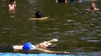 Sejumlah negara di Amerika Selatan dilanda gelombang panas hingga mencapai rata-rata di atas 40 derajat celcius.