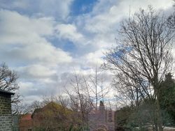 Uji Kejelian Mata Mencari Posisi Kucing di Foto Ini, Yakin Bisa?