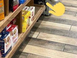 Uji Kejelian Mata Mencari Posisi Kucing di Foto Ini, Yakin Bisa?