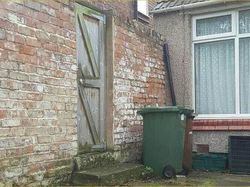 Uji Kejelian Mata Mencari Posisi Kucing di Foto Ini, Yakin Bisa?