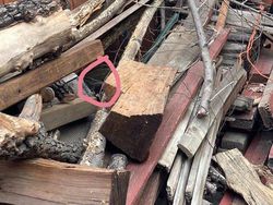 Uji Kejelian Mata Mencari Posisi Kucing di Foto Ini, Yakin Bisa?