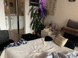 Uji Kejelian Mata Mencari Posisi Kucing di Foto Ini, Yakin Bisa?