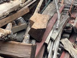 Uji Kejelian Mata Mencari Posisi Kucing di Foto Ini, Yakin Bisa?