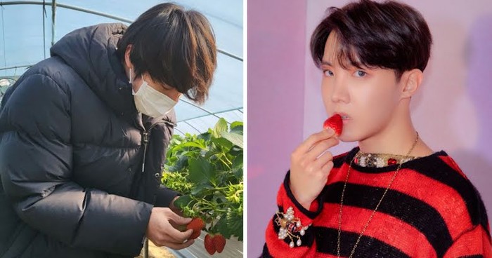 Jin BTS panen strawberry di kebun paman
