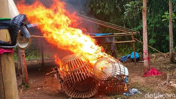 judi sabung ayam digerebek