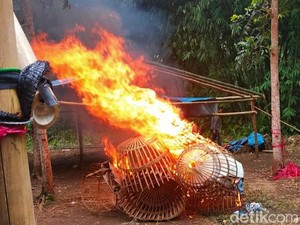 Judi Sabung Ayam di Banyuwangi Digerebek, Kurungan Ayam Dibakar