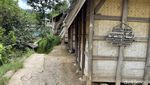 Cerita Padi yang Begitu Sakral di 3 Kasepuhan Sukabumi