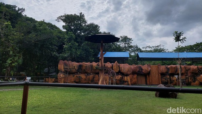Tak ada perubahan yang mencolok dari Kebun Binatang Surabaya (KBS) dalam beberapa tahun terakhir. Seperti yang disampaikan Humas KBS, Agus Supangkah.
