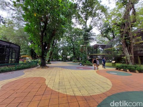 Tak ada perubahan yang mencolok dari Kebun Binatang Surabaya (KBS) dalam beberapa tahun terakhir. Seperti yang disampaikan Humas KBS, Agus Supangkah.