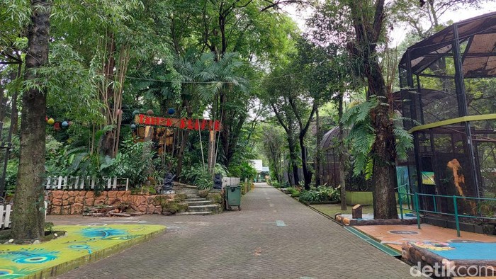 Tak ada perubahan yang mencolok dari Kebun Binatang Surabaya (KBS) dalam beberapa tahun terakhir. Seperti yang disampaikan Humas KBS, Agus Supangkah.