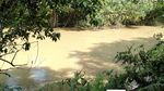 Penampakan Lokasi Bocah di Agam Sumbar Diterkam Buaya Depan Kakaknya