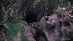 Potret Lorong Tikus Jalur Ikonik Gunung Kerinci di Jambi