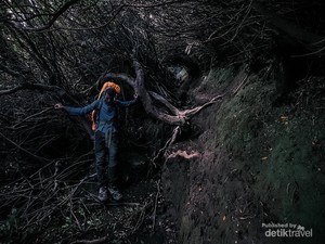 7 Mitos Seram Gunung Kerinci, Dijaga oleh Manusia Harimau?