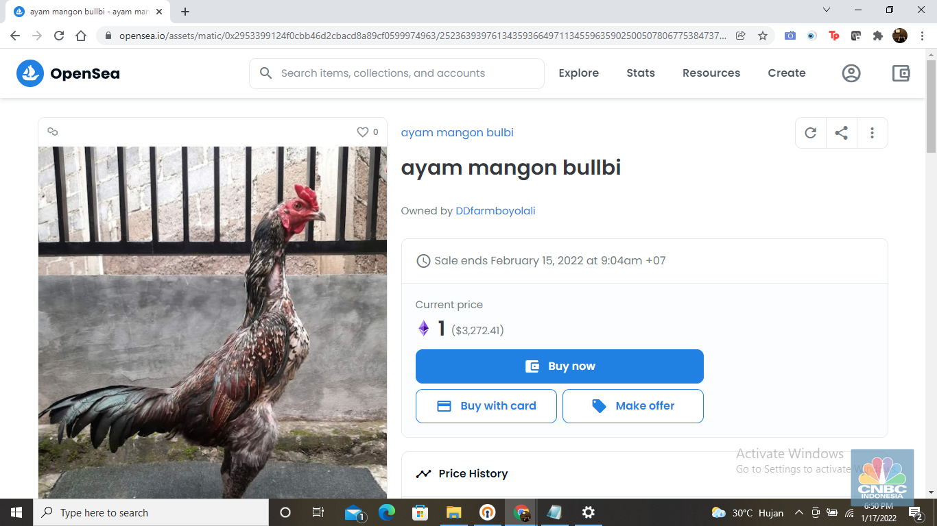nft ayam