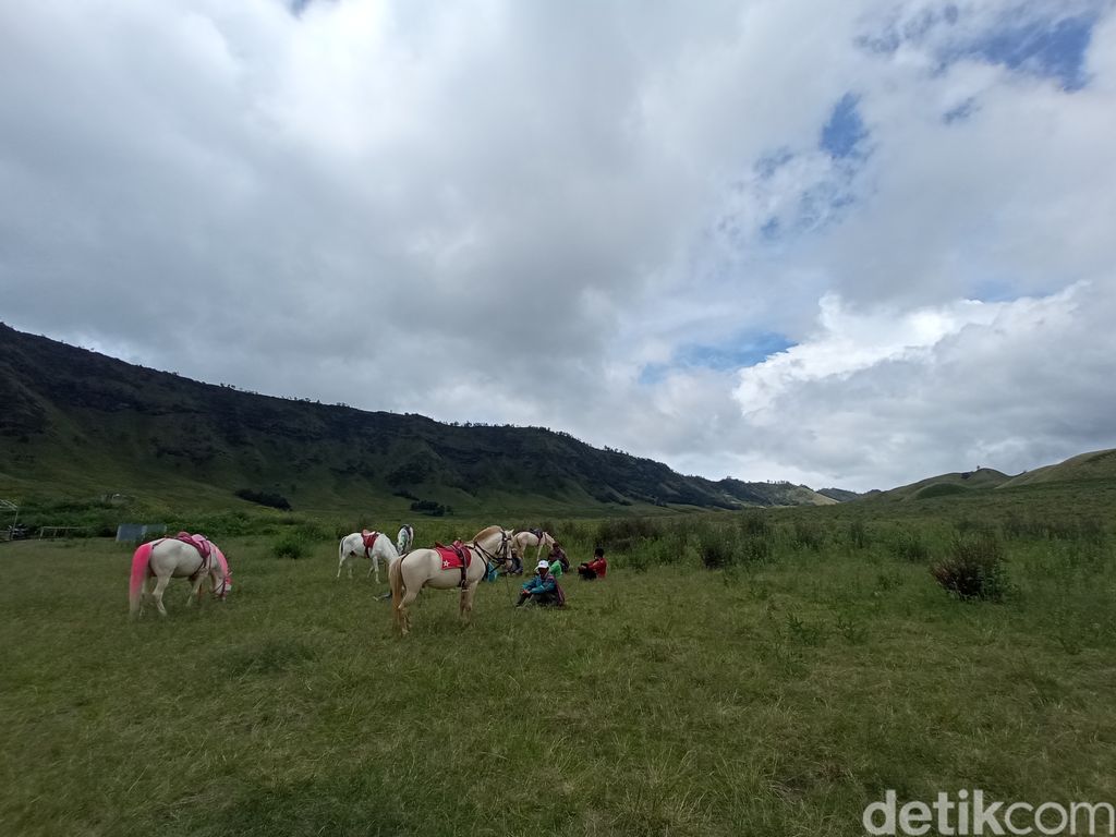 Pemandu kuda wisata di Gunung Bromo