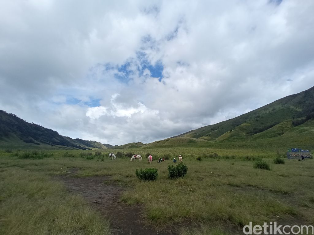 Pemandu kuda wisata di Gunung Bromo