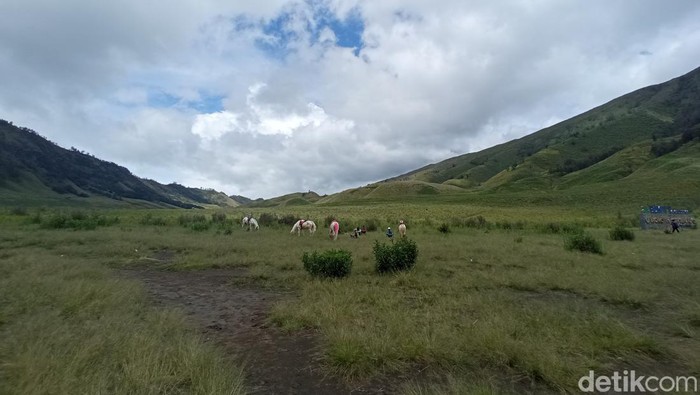 Pemandu kuda wisata di Gunung Bromo