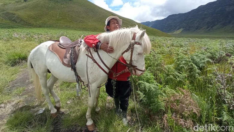 Pemandu kuda wisata di Gunung Bromo Pemandu kuda wisata di Gunung Bromo