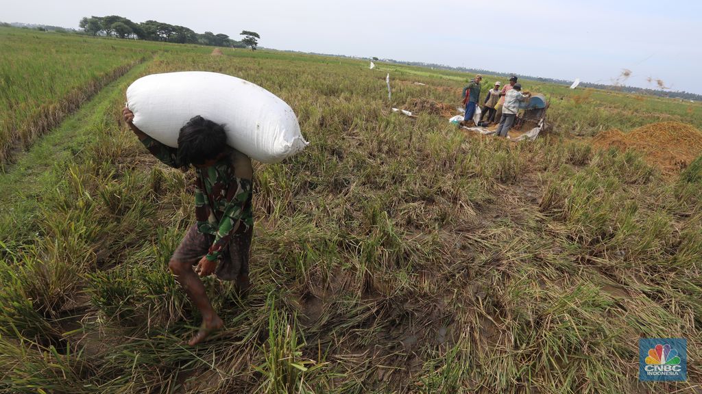 Petani Tangerang (CNBC Indonesia/Andrean Kristianto)