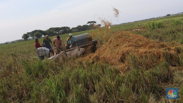 Petani Tangerang (CNBC Indonesia/Andrean Kristianto)