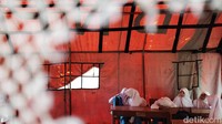 Saat ini kegiatan belajar mengajar (KBM) di tenda darurat baru diikuti satu kelas yang berisi 30 siswa. 