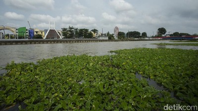 Asyik... Bekasi Punya Wisata Sungai yang Kece Seperti di Korea