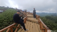 Lokasi Taman Langit ini tidak jauh dari obyek wisata Situ Cileunca, Kampung Singkur, dan Sunrise Point Cukul Pangalengan atau lebih tepatnya di kawasan Sukaluyu. (Yuga Hassani/detikTravel)