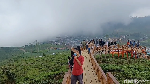 Potret Taman Langit Pangalengan, Sejuk dan Instagramable