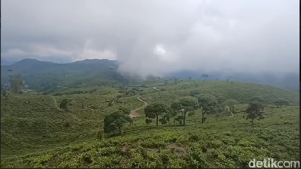 Taman Langit Pangalengan