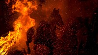 Tradisi ini berasal dari ribuan tahun lalu. Agar hewan tidak sakit, para pendeta tua akan memberkati mereka dengan api sehingga mereka akan melompat dan disucikan.  